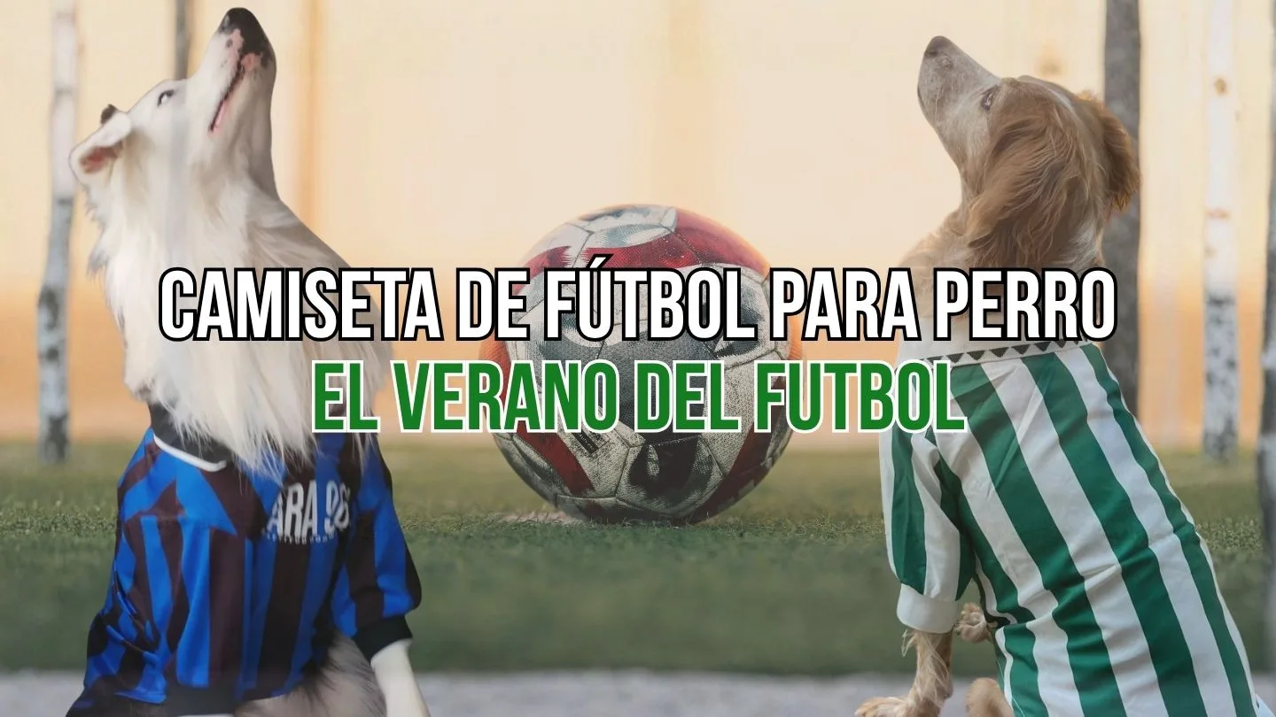 camiseta de fútbol para can en verde e branco estilo vintage