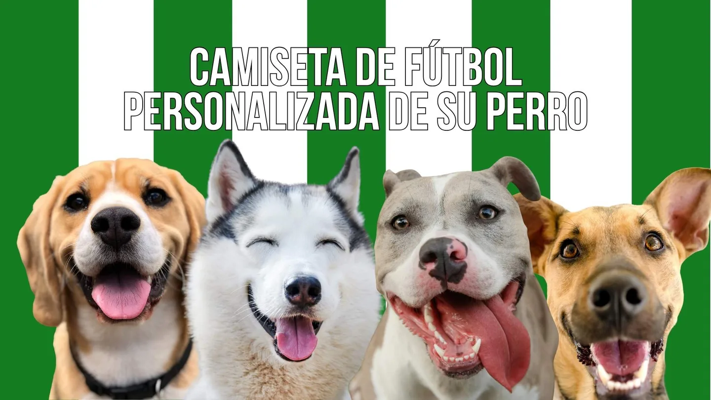 regal per a amants del futbol i dels gossos: samarreta personalitzada de gos amb nom i dorsal
