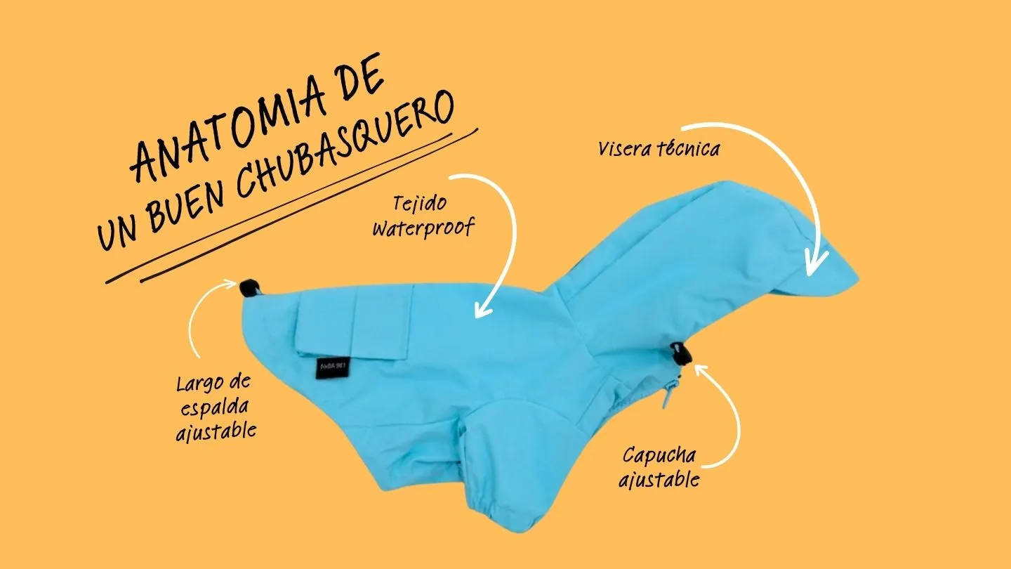 anatomia d'un bon impermeable per a gos: teixit waterproof, visera tècnica, caputxa i llarg d'esquena ajustables