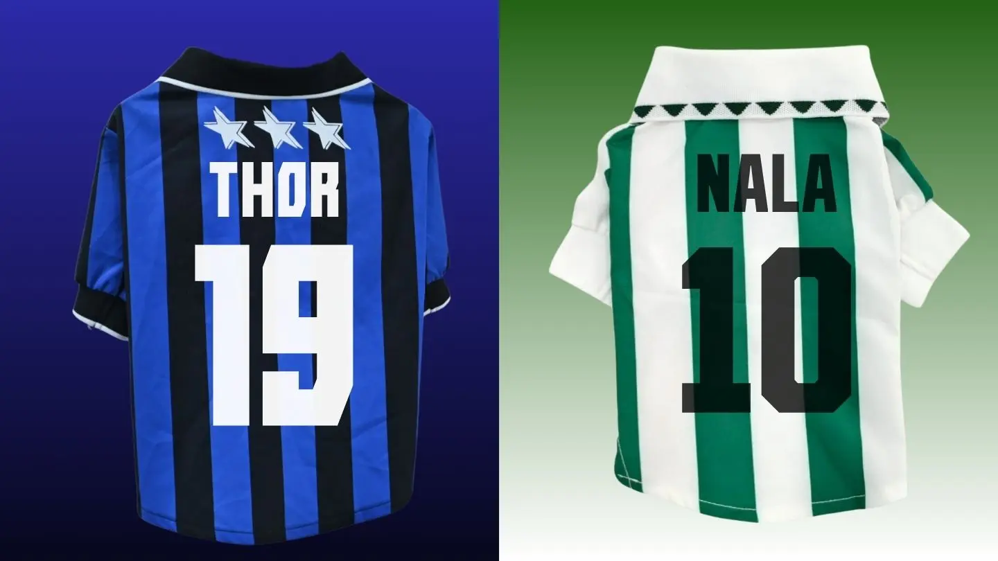 regal de samarreta de futbol per a gos personalitzada amb nom i dorsal