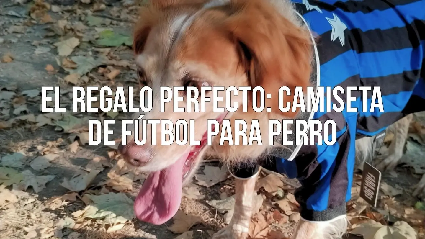 regal de samarreta de futbol per a gos personalitzada amb nom i dorsal