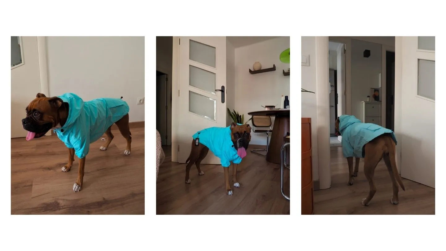 midiendo el contorno de pecho de un boxer para elegir la talla de ropa