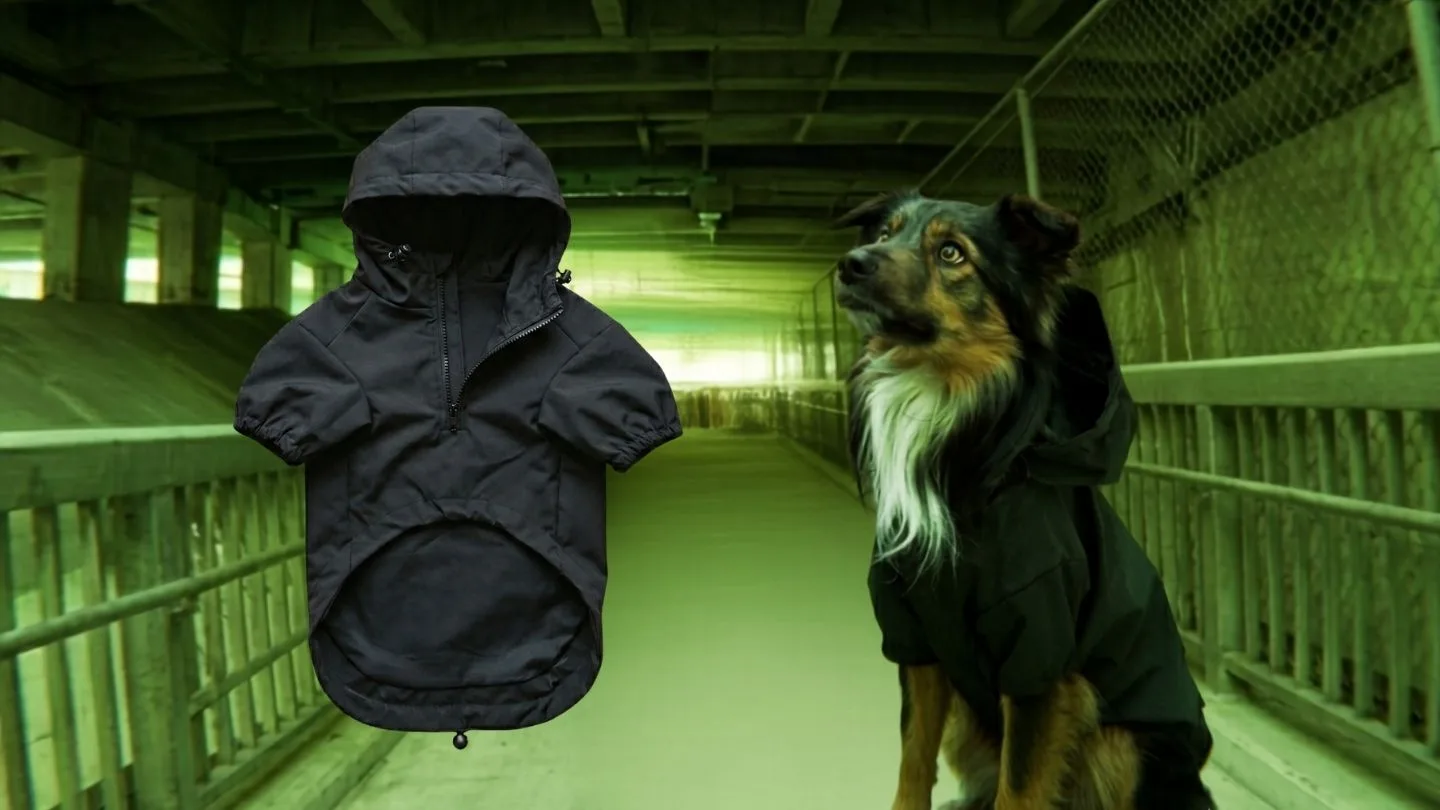 dog in urban 2026-trend clothing: an earthy-tone hoodie