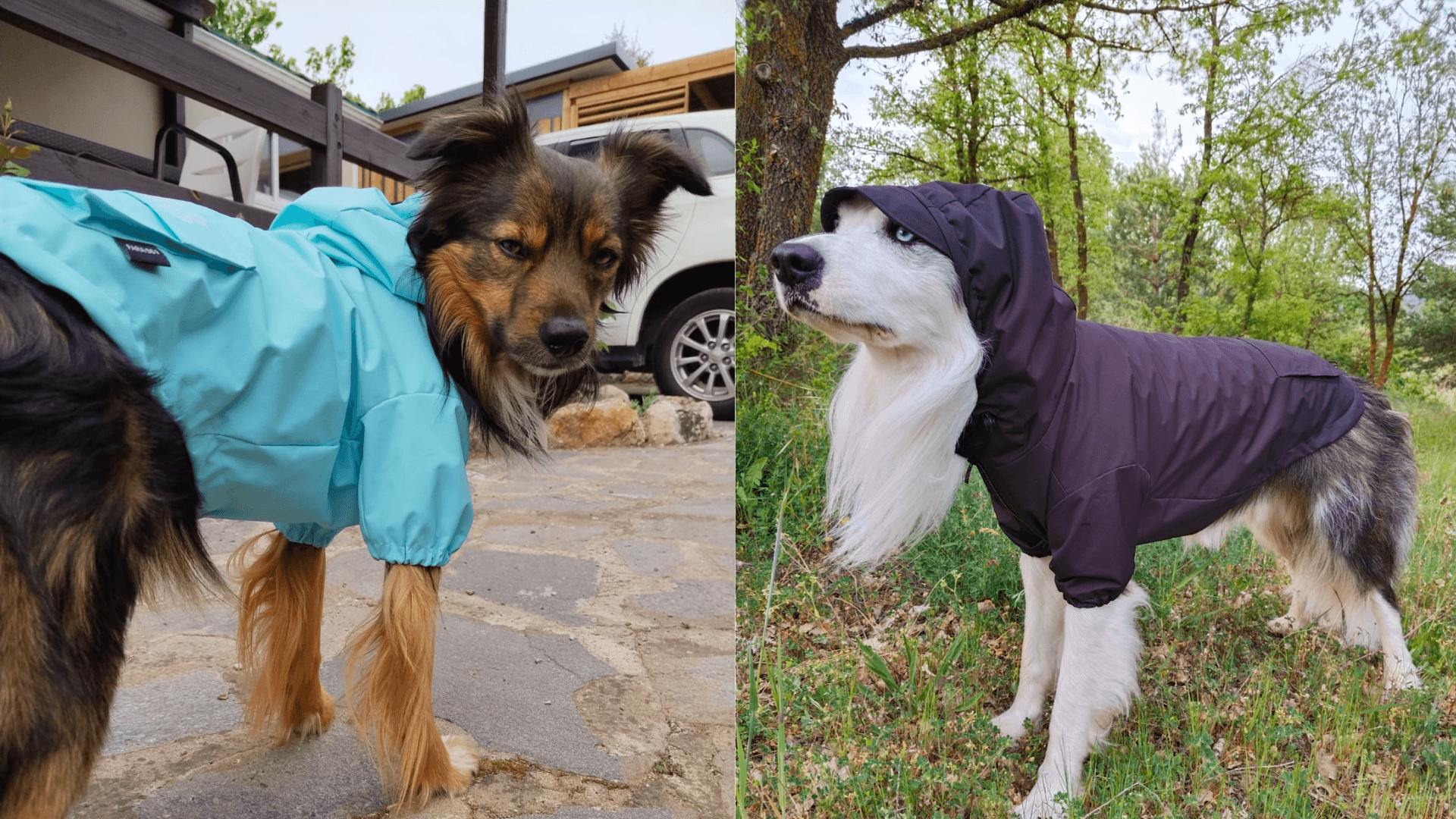 FARA 961 — Ropa urbana para perros, diseñada en Girona