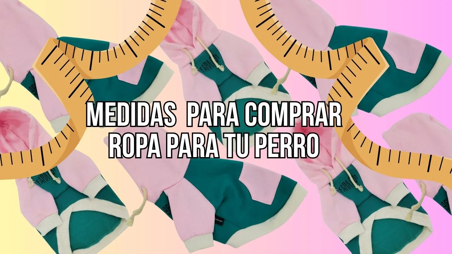tomar medidas para comprar roupa de can antes de elixir a talla