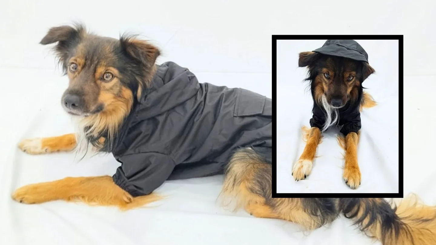 impermeable técnico para perro con cremallera frontal de FARA 961