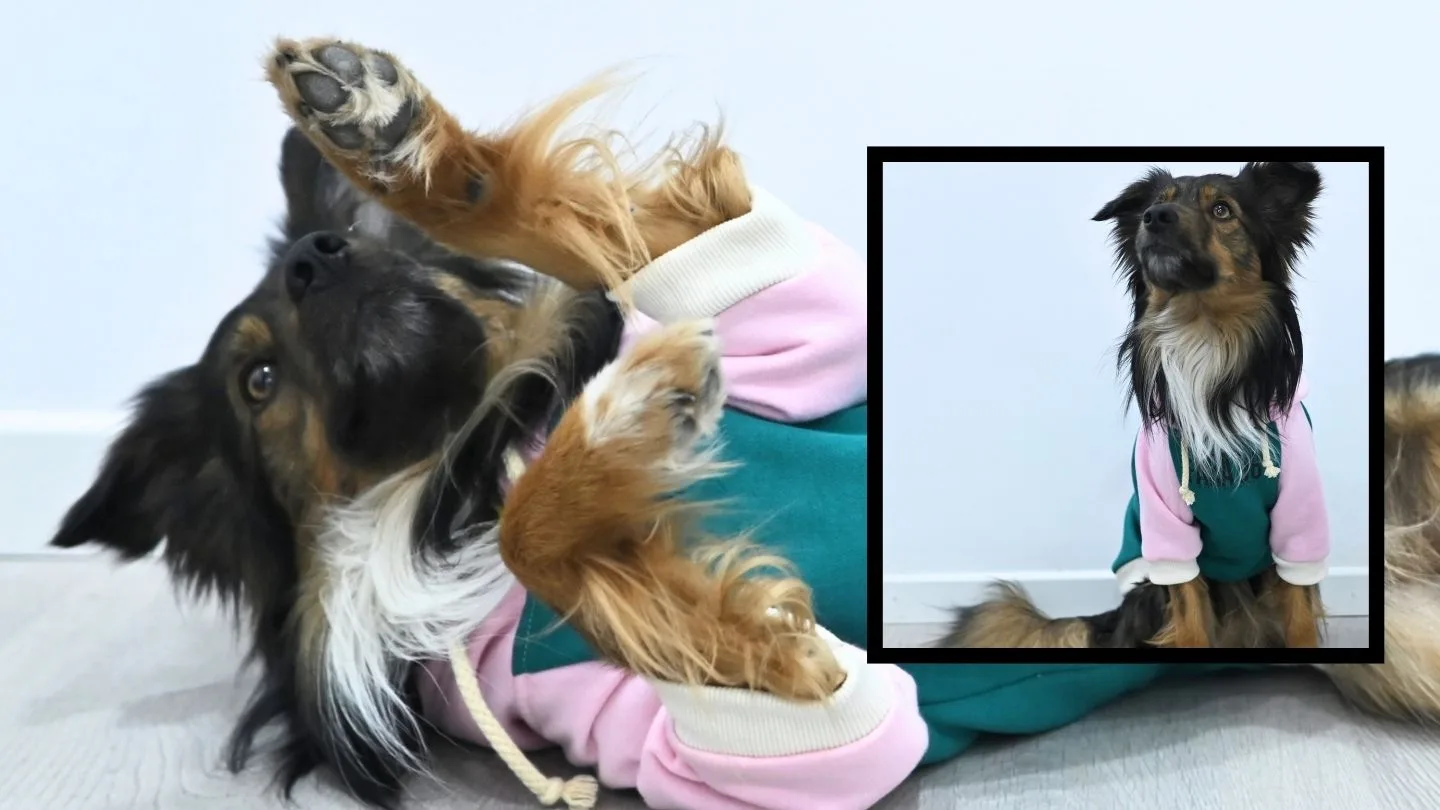 sudadera de abrigo para perro con interior de borreguito de FARA 961