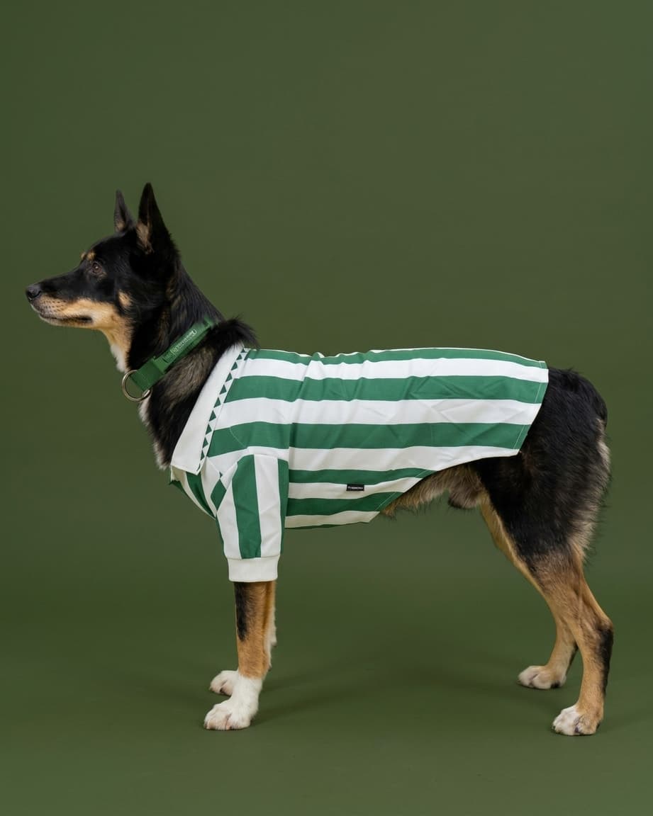 Espíritu de Grada Football Jersey — ropa para perros FARA 961