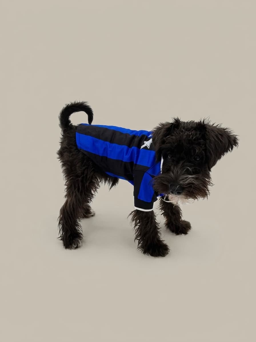 Three Stars Football Jersey — ropa para perros FARA 961