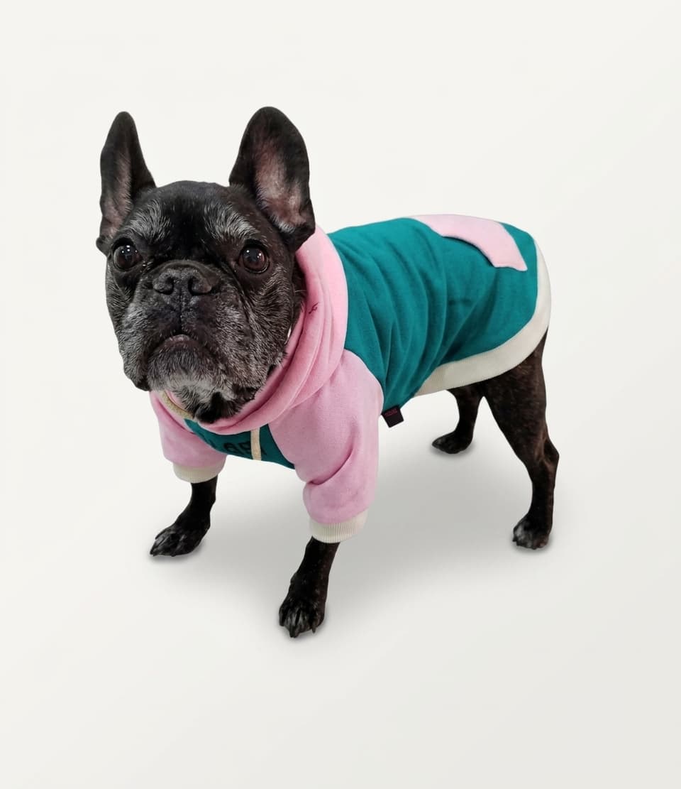 Bubble Gum Hoodie — ropa para perros FARA 961