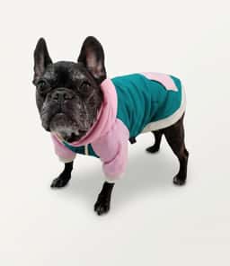Bubble Gum Hoodie