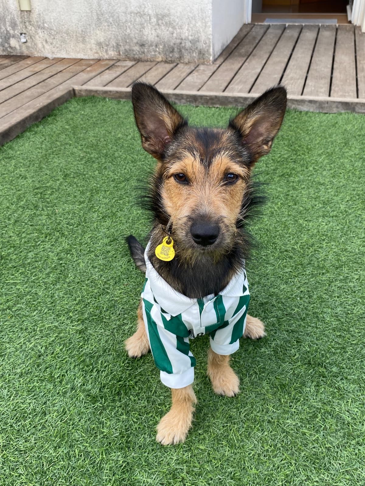 Espíritu de Grada Football Jersey