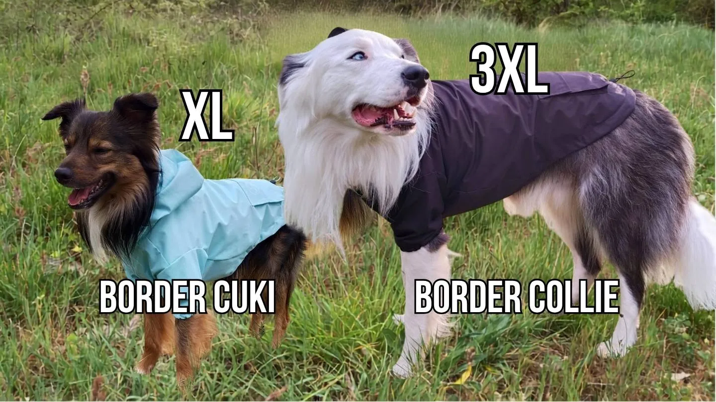 cómo decidir qué talla elegir si el perro está entre dos comparando con la guía de tallas